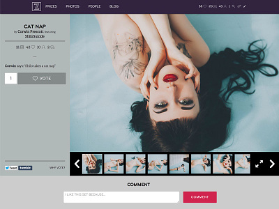 Zivity Logged In Sets Page gallery photos photoset ui web design