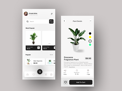 Plant Store App UI Design (Screen-1)