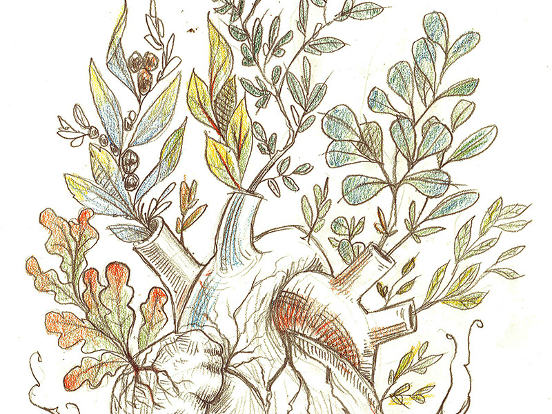 Wooden Heart leaves pencil drawing design flash anatomical greens shubbery plants heart tattoo