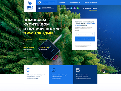 Residence permit in Finland. Landing page. design graphic design landing ui uiux web