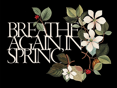 Breathe again, in spring