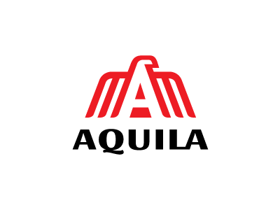Aquila best branding design graphic design illustration logo ux vector
