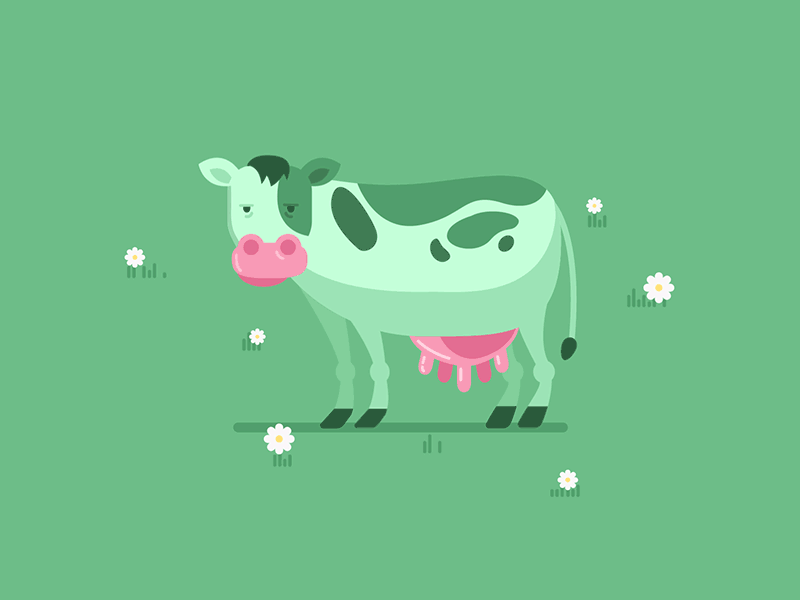 No Use Crying Over Spilled Milk after effects animated gif cow idiom loop vector