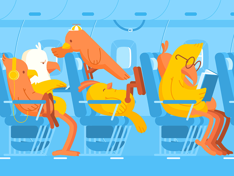 Manimals #5 - Air Travel animated gif annoying birds character animation cute flying gif loop plane