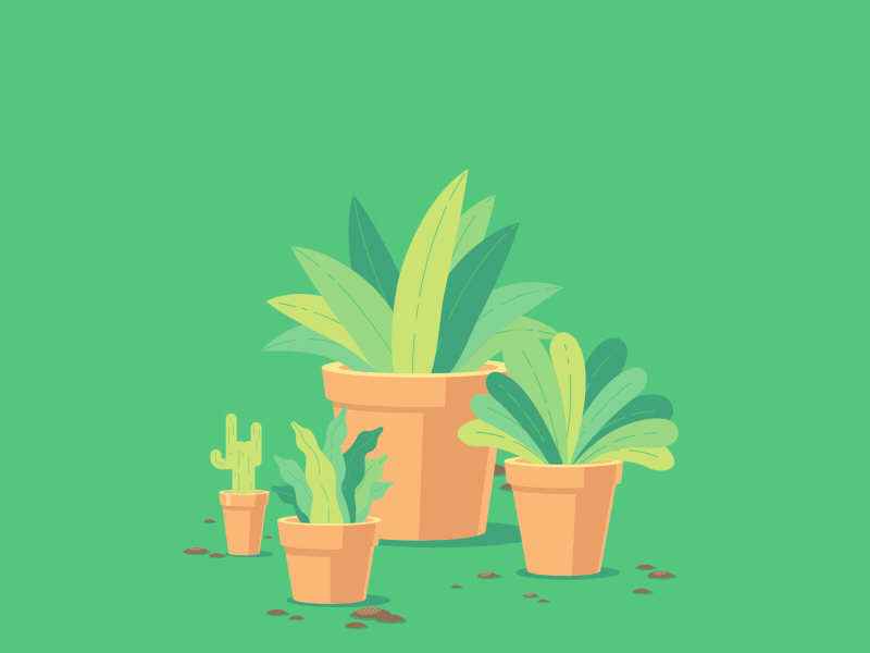 Potted Punk Plant after effects animated gif character animation character design gif illustration loop plant punk vector