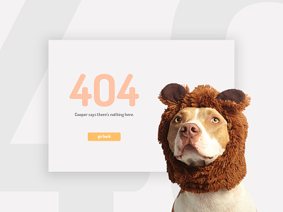 Daily UI Challenge #008 - 404 Page 008 404 challenge daily dog simple ui ux