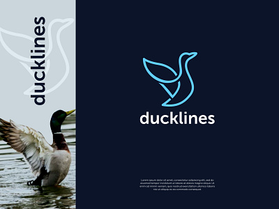 Ducklines : Business & Consulting Logo branding design graphic design illustration logo vector