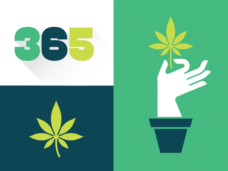 365 Dispensary weed cannabis 365 dispensary plant marijuana logo brand