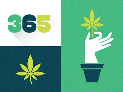 365 Dispensary 365 brand cannabis dispensary logo marijuana plant weed