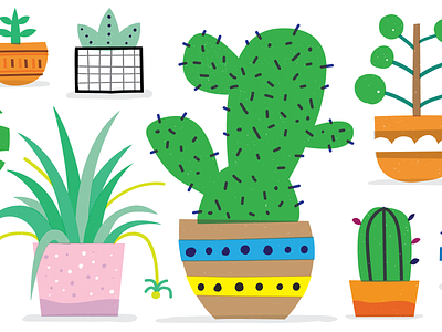 Plants! cactus green monstera planters plants