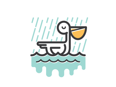 Wet Pelican