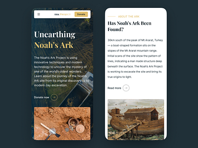 Ark Project Website branding design excavations history mobile ui ux website