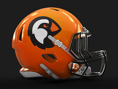 Puffins Helmet football helmet logo orange puffin sports