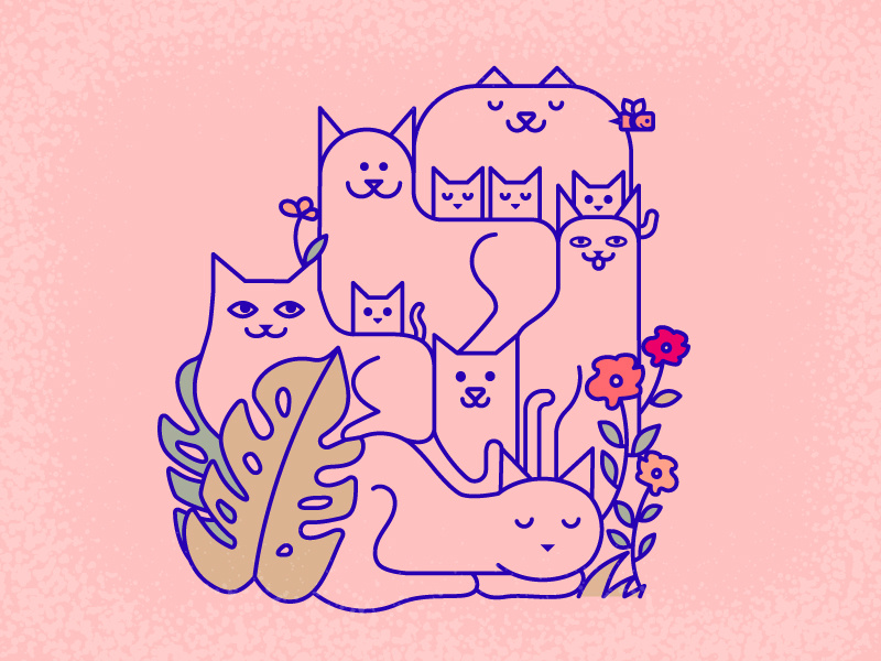 Cat Sanctuary india goa flowers cute kittens kitten cats illustration cat