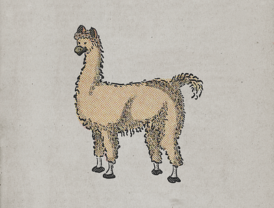 Лама animal illustration lama sketch