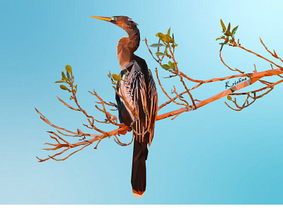 Low Poly Cuckoo design graphic design illustration low poly vector