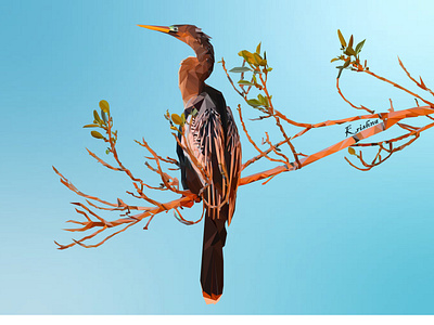 Low Poly Cuckoo