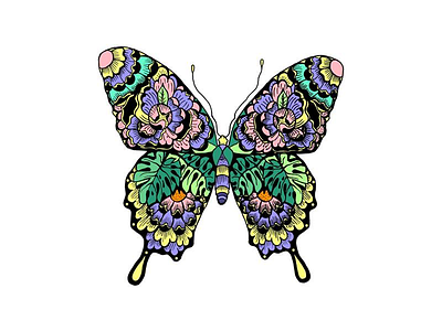 Butterfly butterfly colors floral illustration