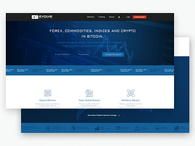 Evolve Markets Website crypto cryptocurrency currency forex ui ux webdesign website