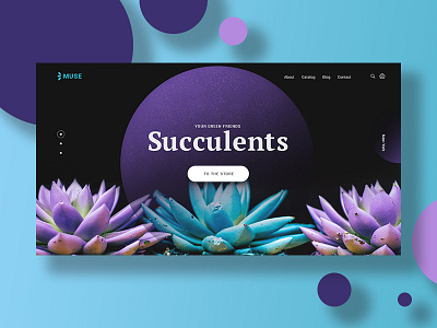 succulents my favorites ui