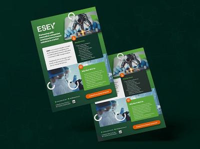 ESEV branding design graphic design illustration typography