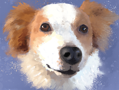 Pooch Portrait design dogs illustration portraits