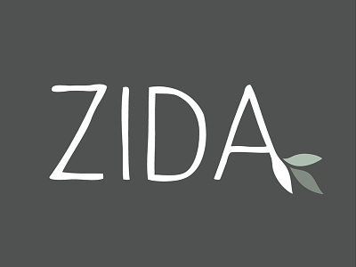 ZIDA Logo Design branding logo logo design