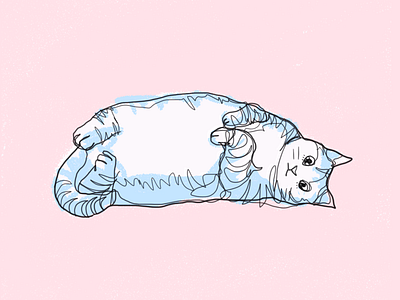 Cat illustration