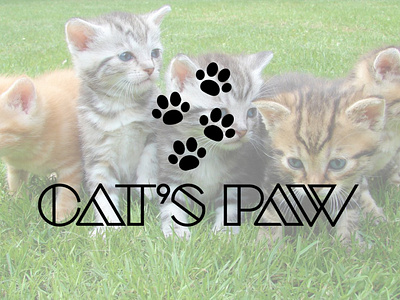 cat'spaw