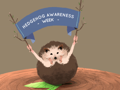 Hedgehog awareness week animation awareness british environment gif happy hedgehog leaves log nature preservation tree