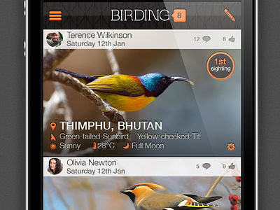 Birding Log Mockup app ios ui