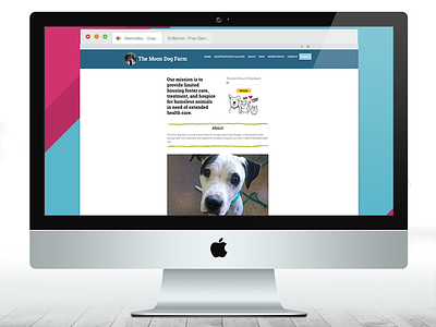 Foster Shelter Website animals charity color foster care hope illustration ipad pro website design