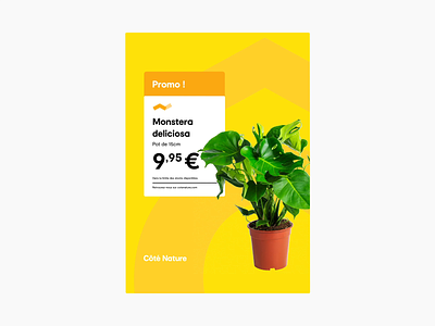 🌿 Côté Nature - Product Morphing 🌿 animation brand branding cote nature design illustration morphing motion motion graphics product web