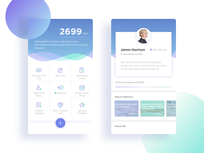 App for Travel app iphone profile ui ux