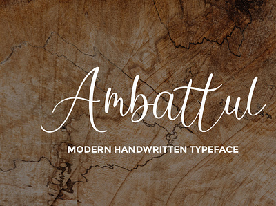 Ambattul Font beauty brush calligraphy cursive design font handwritten modern script signature typeface