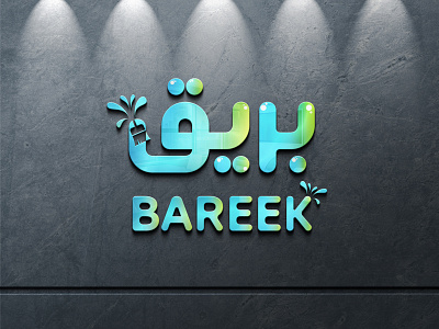 BAREEK branding graphic design logo ui