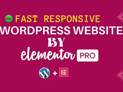 Fast Responsive Wordpress Website Design design elementor elementor pro wordpress wordpress website design