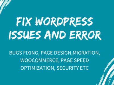 I will fix wordpress issues, bugs, errors or problems within 1 h