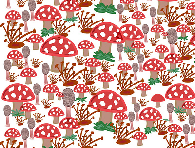 mashroom field