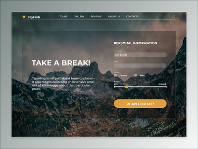 FlyFish // Website design ui visual website