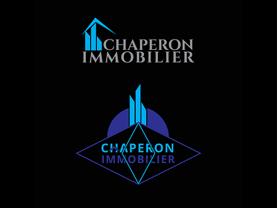 immobilier branding design graphic design illustration logo vector