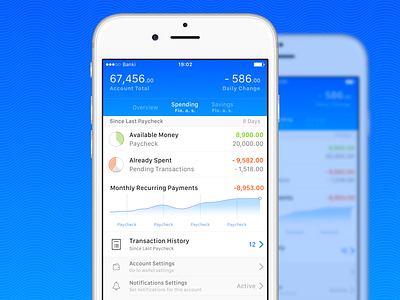 Account Detail app detail finance fintech ios iphone mobile ui ux