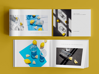 Two Glasses and a Couple of Lemons book layout photography portrait photography publishing