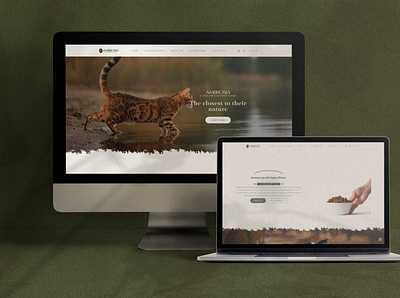 Ambrosia Pet Food clean design responsive design web design wordpress theme development