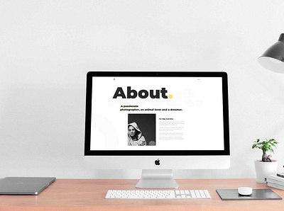 Photographer's Portfolio clean design minimal web design portfolio responsive design web design wordpress theme development
