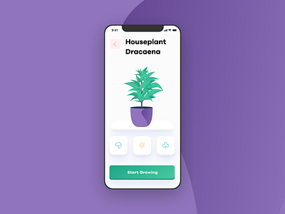 Plant Care App agency app business care creative dracaena figma flat gradient growing ia interface ios mobile modern plant typography ui ux