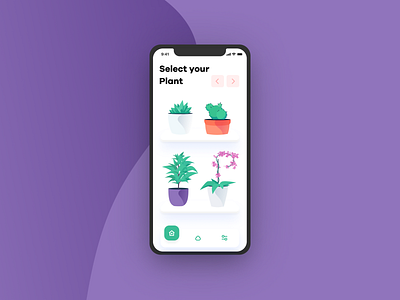 Plant Care App - Select Plant agency app business care creative dracaena figma flat gradient growing ia interface ios mobile modern plant typography ui ux