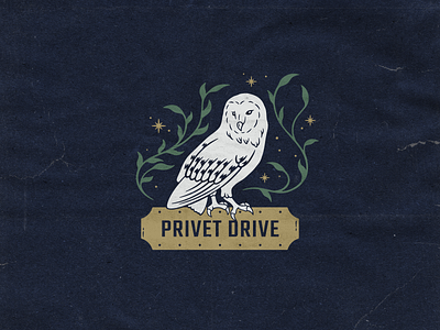 Harry Potter owl design graphic design handdrawn harry potter hedwig hogwarts hp illustration magic owl vector wild wizard