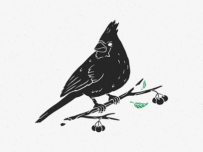 Young cardinals bird black cardinal bird distressed illustration nature wild