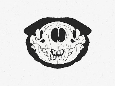 Otter skull by FrostyRay on Dribbble